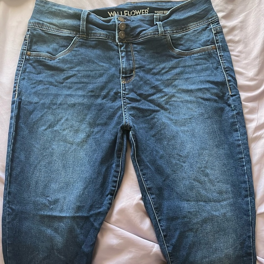 Blue Jeans, Size 17 (Reg), Stretchy